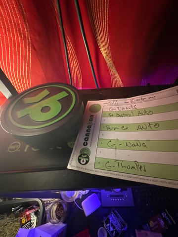 Good Genetix G-Line + Fat Bastard auto
