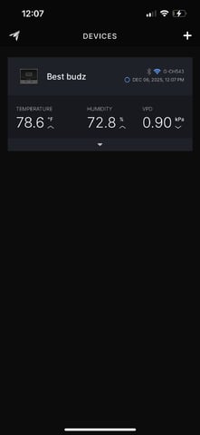 best budz — vegetative, day 1