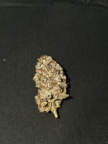 Granny Candy and PLCG — harvest, day 168