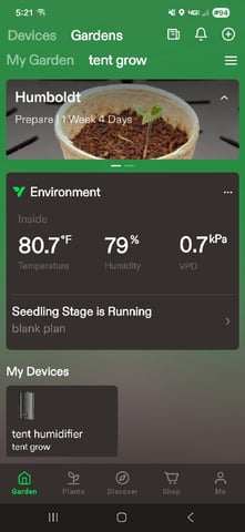 1st Ever Grow — seedling_rooting, day 16