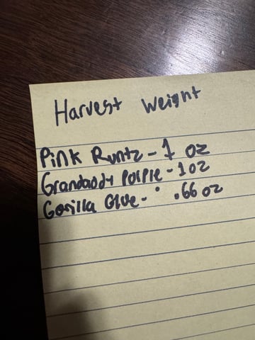 Grow Number 2 — done, day 72