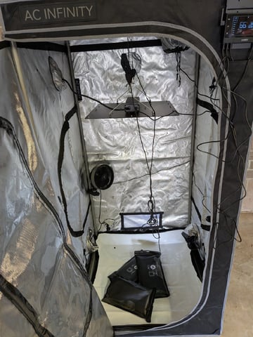 Grow Tent Starts — grow_setup, day 1