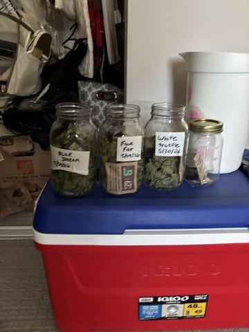 new seeds grow #2