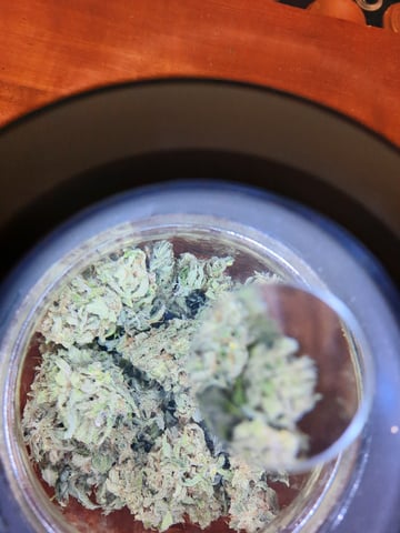 missing pieces — harvest, day 148