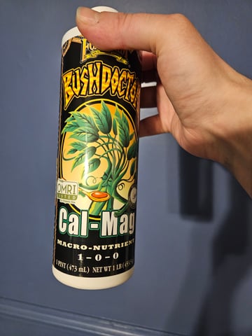 Sour Patch Kids — flower, day 5