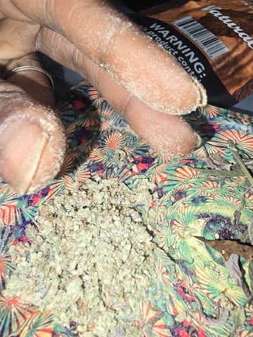 OLD GROW, NEW IDEAS — none, day 10