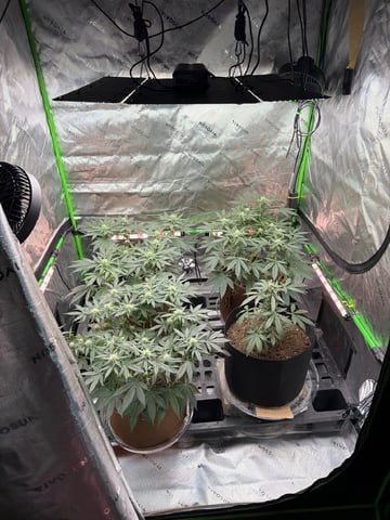First Grow – Learning Every Day