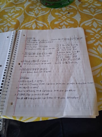 Seedman mix auto & seedman mix auto & GodFather OG — none, day 34