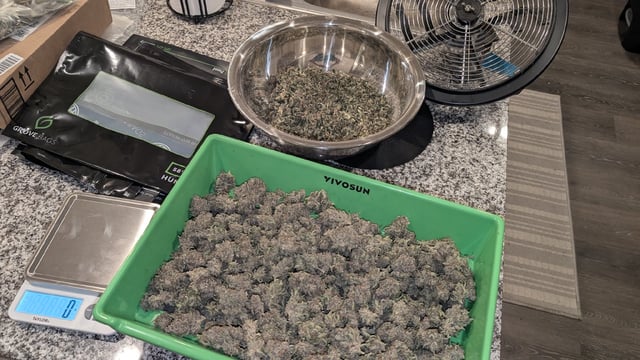 Mixed Grow — flower, day 108