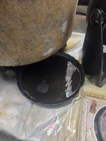 Looking for advice! — flower, day 49