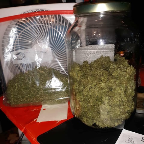 Outdoor Grow 