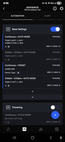 Purple Haze  — flower, day 61