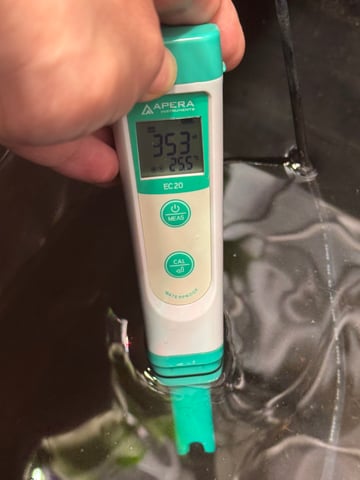 Permanent Marker, Gary Payton — flower, day 50