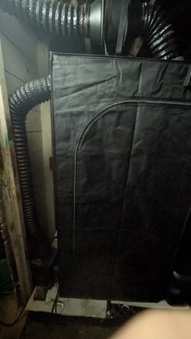 Grow 3 — grow_setup, day 1