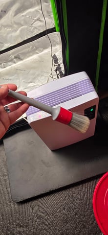 Here We Grow... — flower, day 72