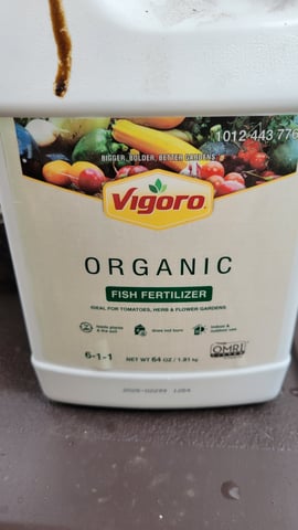 first grow — vegetative, day 13