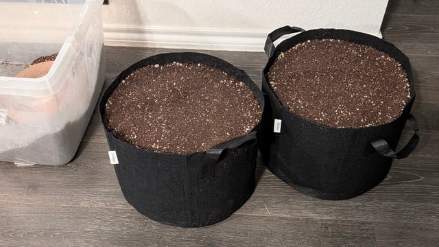 Mixed Grow — grow_setup, day 1