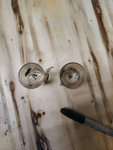 garage set up — germination, day 1