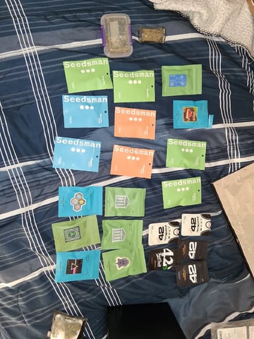 Seedman mix auto & seedman mix auto & GodFather OG — none, day 43