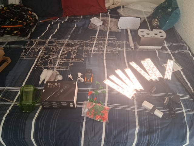 Seedman mix auto & seedman mix auto & GodFather OG — grow_setup, day 50