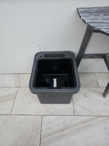 Bruce Banner — seedling_rooting, day 8