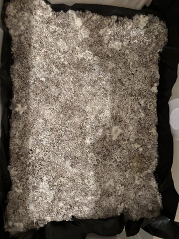 second 🍄‍🟫 grow — flower, day 40