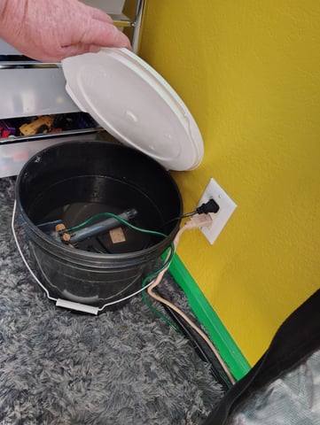 1st grow  — grow_setup, day 1