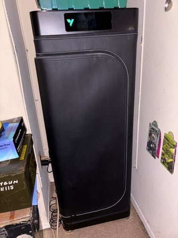 Blue Dream — grow_setup, day 1