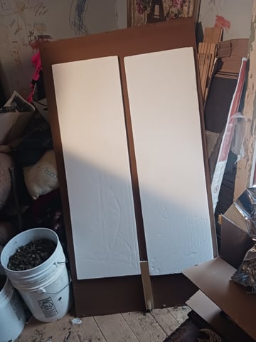 first time hydropontic grow of autoflower and non autoflower — grow_setup, day 7