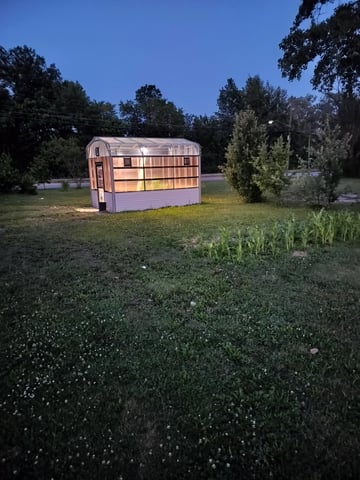 Tropicana poison fast version — vegetative, day 1