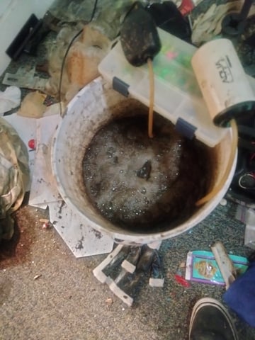 jay seaton  — vegetative, day 6