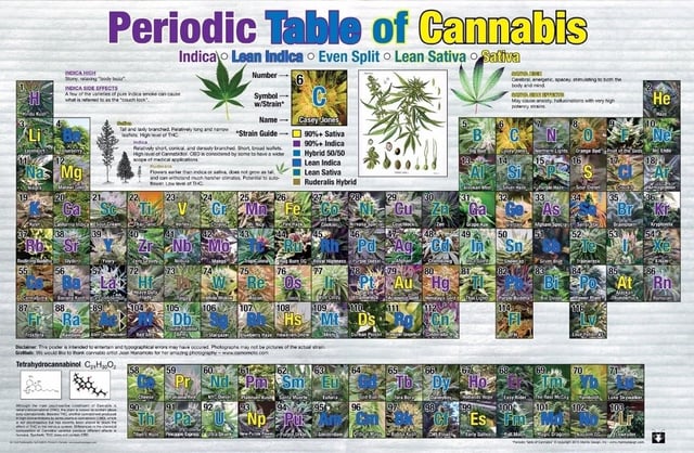 Dos Si Dos. Indica — flower, day 52