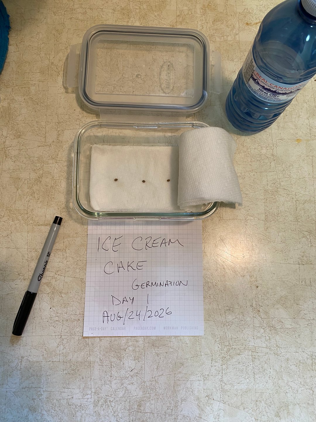 Ice Cream Cake