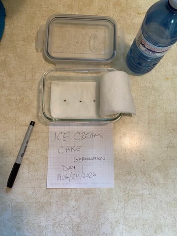 Ice Cream Cake