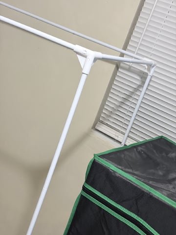 CANDYLAND — flower, day 100