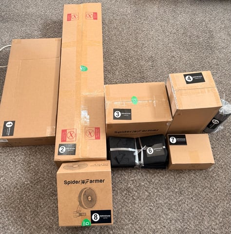 Gorilla Runtz — flower, day 40