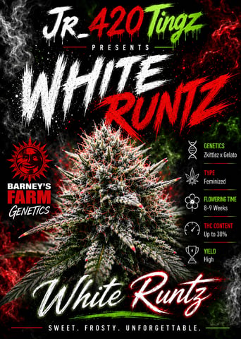 White Runtz Clonez (Flowering) — flower, day 1