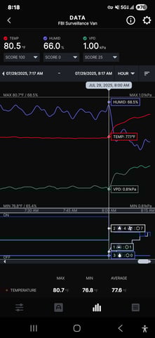 Purple Haze  — flower, day 65
