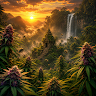 TerpenTempel