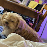 FluffyBowl2729