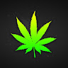 FreshCanna5818